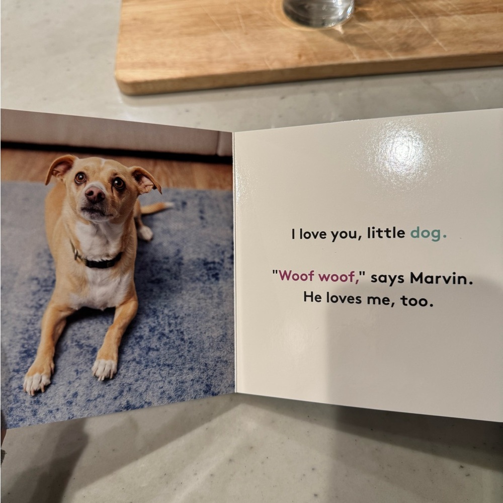 Lovevery Book - My First Words - Picture 12 of 15